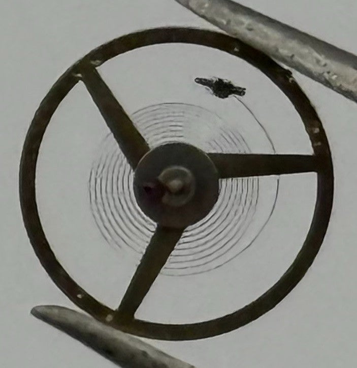 FHF 59-21 Balance Wheel Complete And Spring 3¾-10’’’ 1661 M Watch Movement Parts