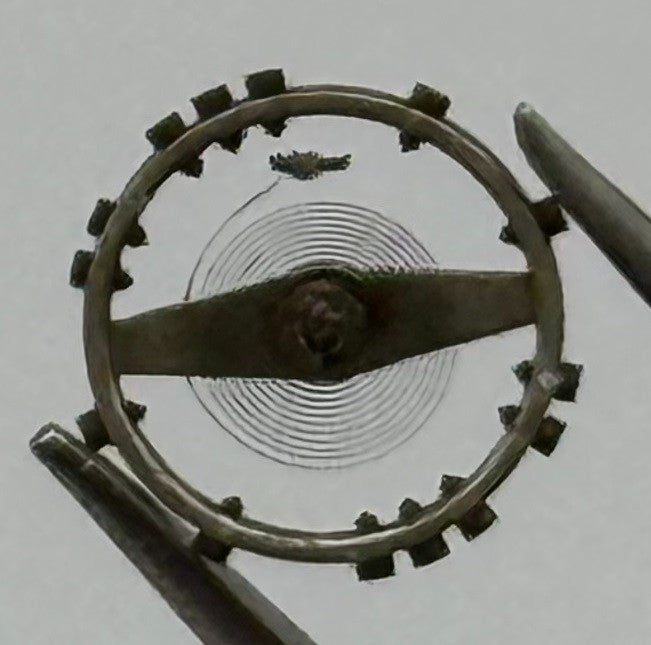 AS 976 1012 Balance Wheel Complete And Spring Renata 29 Watch Movement Parts NOS