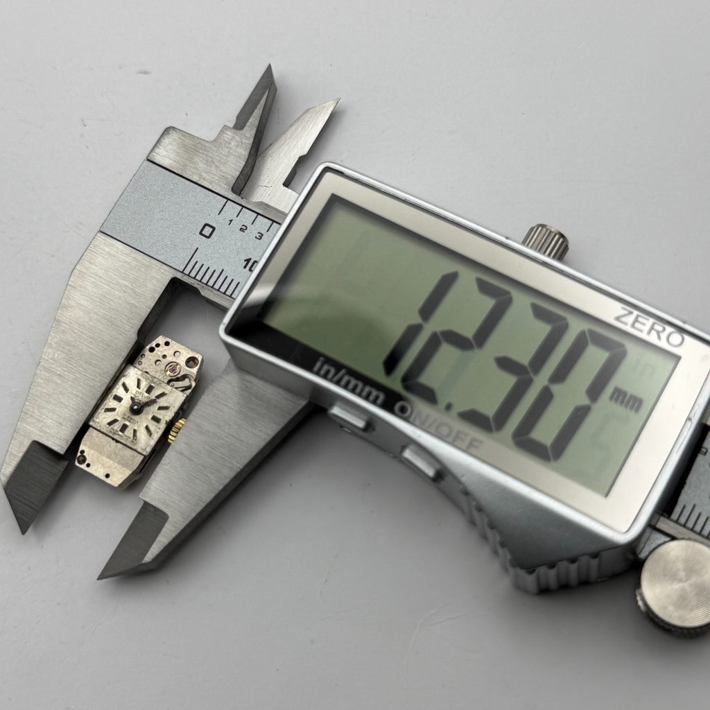 FHF 59-21 Watch Movement Delvina Swiss 17 Jewels Manual Wind Parts Repair 9mm