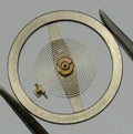 EB 8000 PL Balance Wheel Complete And Spring 1226 Watch Movement Parts NOS