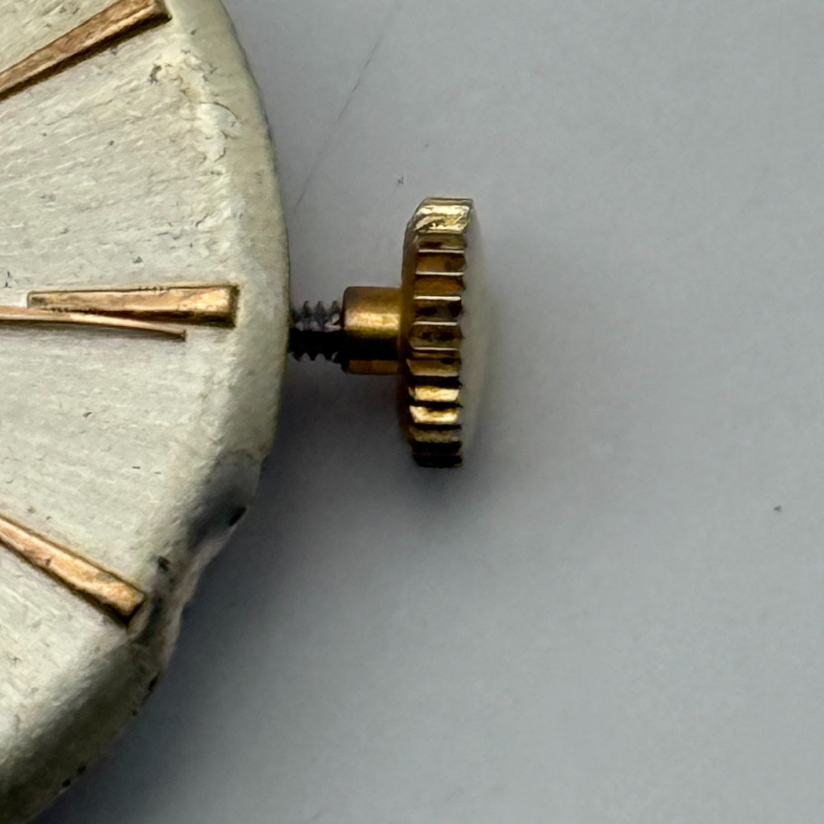 Eden Watch Movement Antimagnetic 1 Jewel Swiss Manual Wind Parts Repair 22.2mm