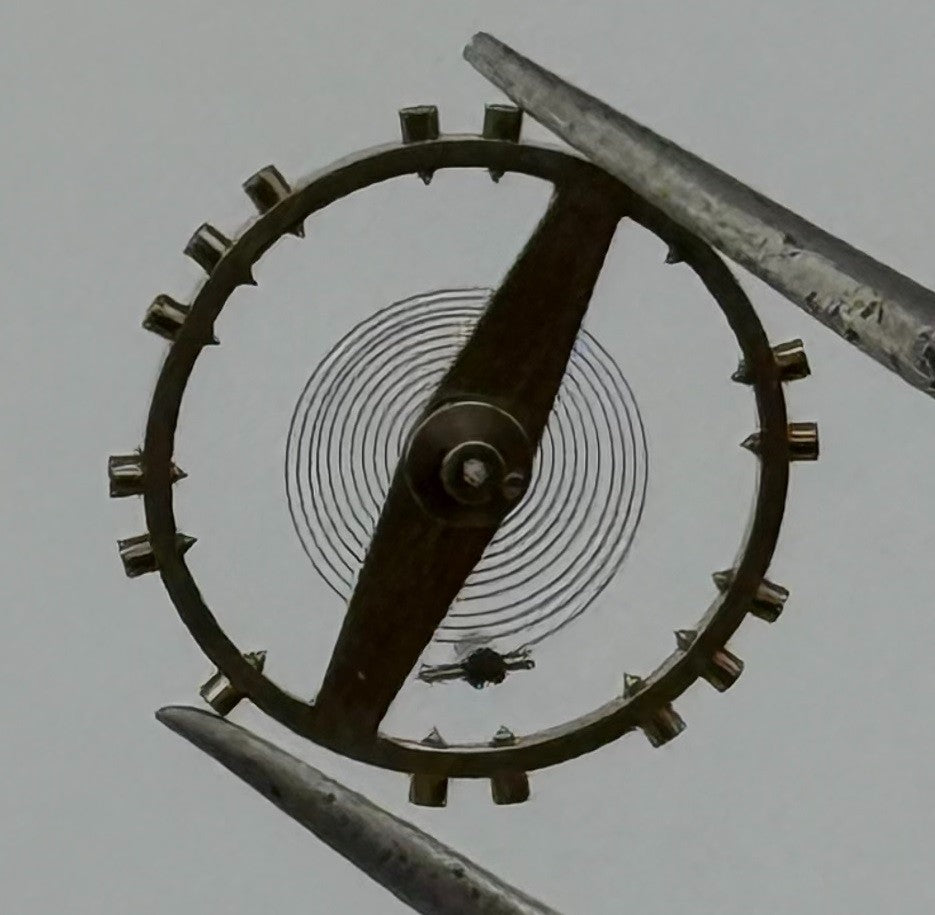 FHF 67 Balance Wheel Complete And Spring 10½’’’ Watch Movement Parts NOS