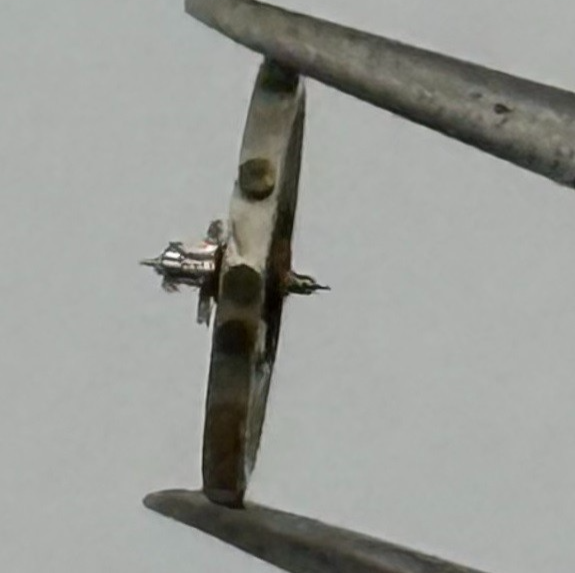 PUW 70 Balance Wheel Complete And Spring 5’’’ Watch Movement Parts NOS