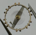 Rego 22 DGT Balance Wheel Complete And Spring Renata 295 Watch Movement Parts