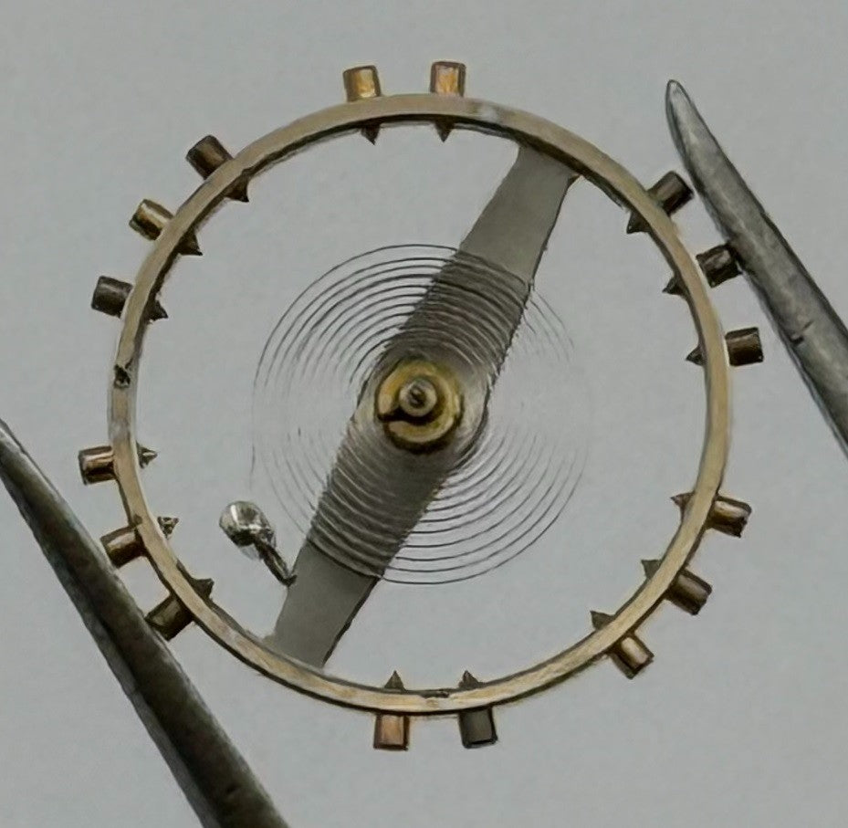 Rego 22 DGT Balance Wheel Complete And Spring Renata 295 Watch Movement Parts