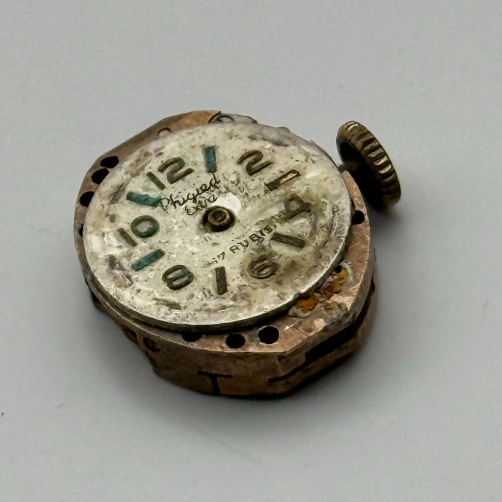 Phigied Extra Watch Movement 17 Rubis Swiss Manual Wind Parts Repair 13.2mm
