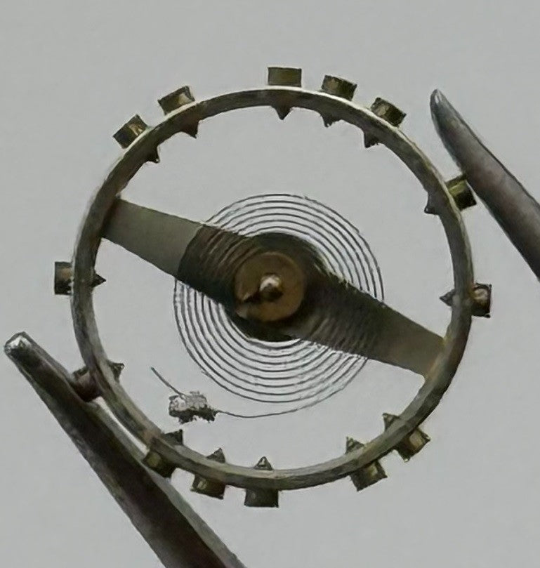 FEF 370 Balance Wheel Complete And Spring 6¾ x8’’’ 2947 Watch Movement Parts NOS