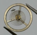 EB 1297 1463 Balance Wheel Complete And Spring 117 Watch Movement Parts NOS