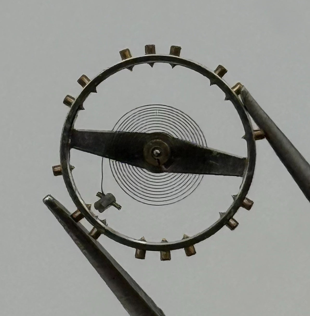 AS 1700-3 Balance Wheel Complete And Spring Renata 1165 Watch Movement Parts NOS