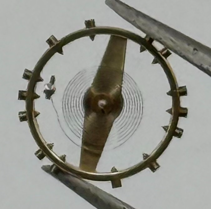AS 1240 Balance Wheel Complete And Spring 8¾’’’ Renata 49 M Watch Movement Parts