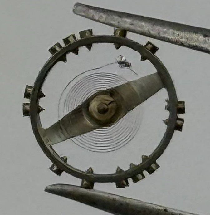AS 976 1012 Balance Wheel Complete And Spring Renata 29 Watch Movement Parts NOS