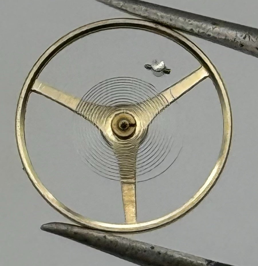 SGT 200 300 3002 E4 Balance Wheel Complete And Spring 1890 M Watch Movement NOS