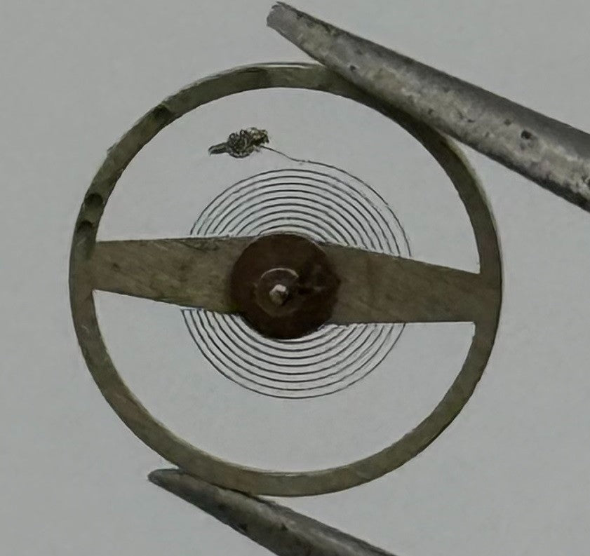 ST 69 Balance Wheel Complete And Spring 6¾x8’’’ Ronda 4848 Watch Movement Parts