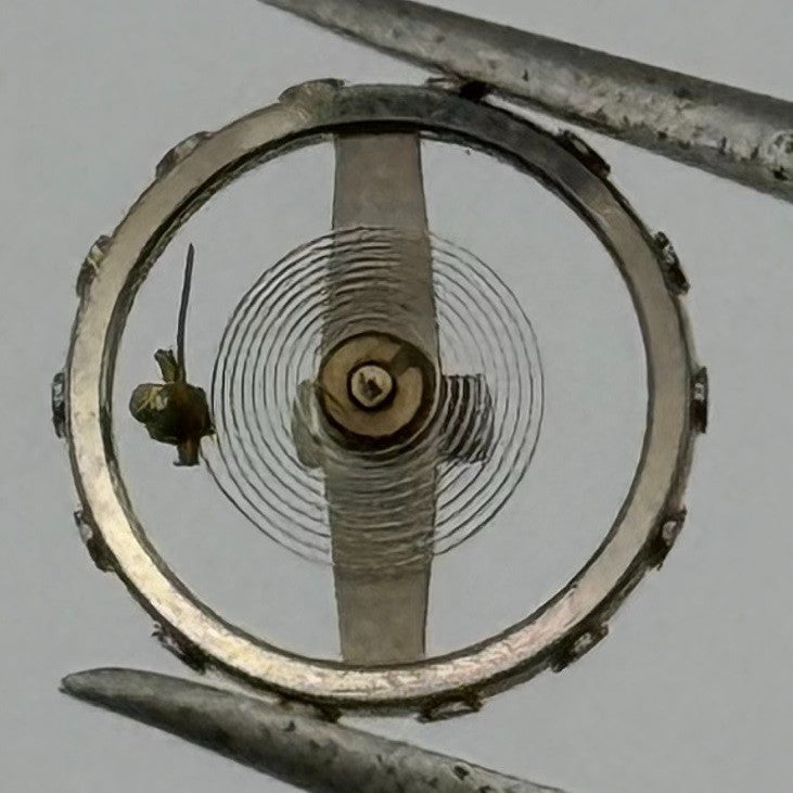 Ebosa 26 Finger Balance Wheel Complete And Spring Watch Movement Parts NOS