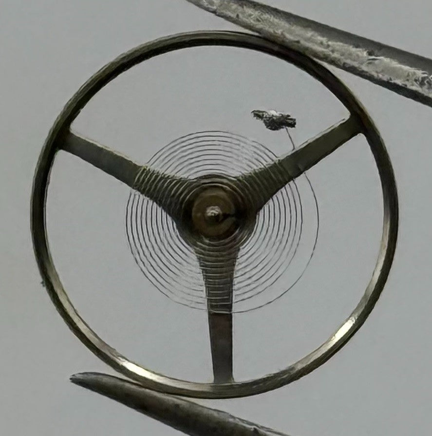 SGT 200 300 3002 E4 Balance Wheel Complete And Spring 1890 M Watch Movement NOS