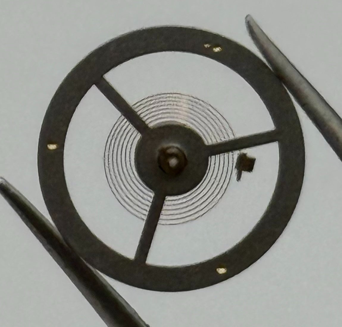 EB 8800 Balance Wheel Complete And Spring 12’’’ Renata 1309 Watch Movement Parts