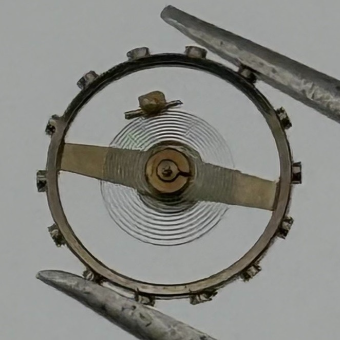 MST 378 Balance Wheel Complete And Spring 6¾''' Renata 589 Watch Movement Parts