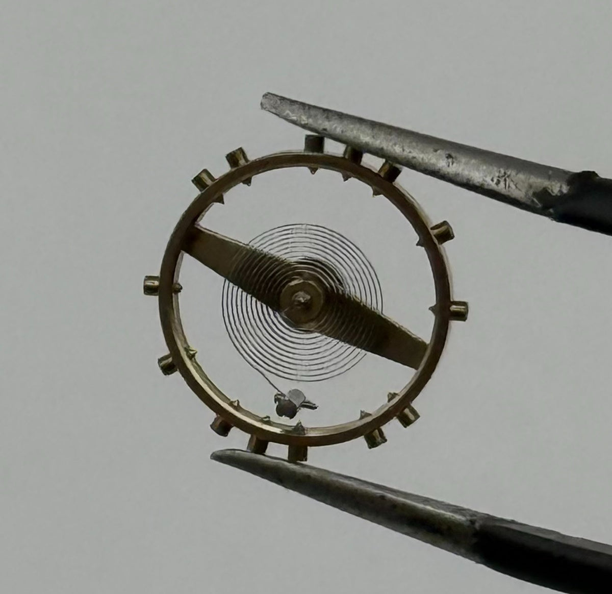 Venus 75 Balance Wheel Complete And Spring 10½’’’ Renata 310 Watch Movement Part