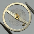 BFG 866 DGT Balance Wheel Complete And Spring Progress Watch Movement Parts NOS