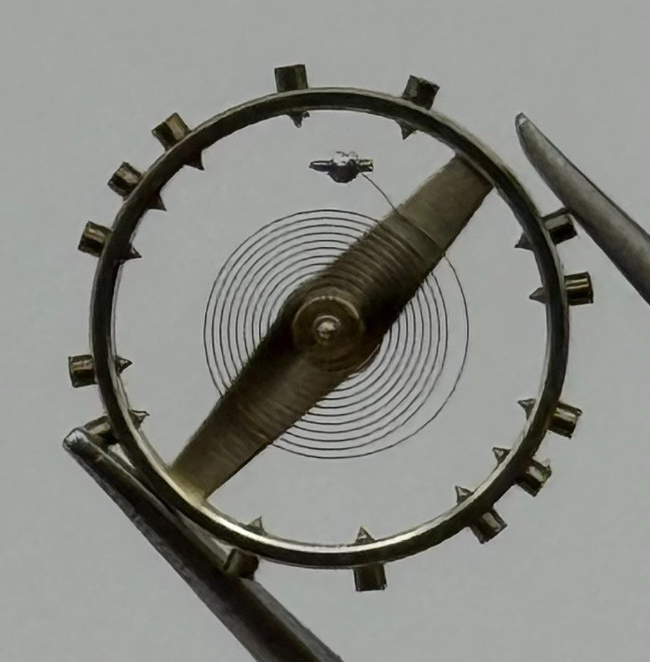 FHF 25 Inca Balance Wheel Complete And Spring Renata 566 Watch Movement Parts