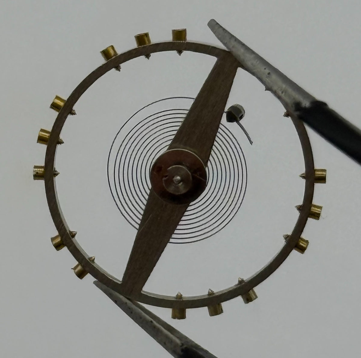 Buser 95 Balance Wheel Complete And Spring No 721 Watch Movement Parts NOS