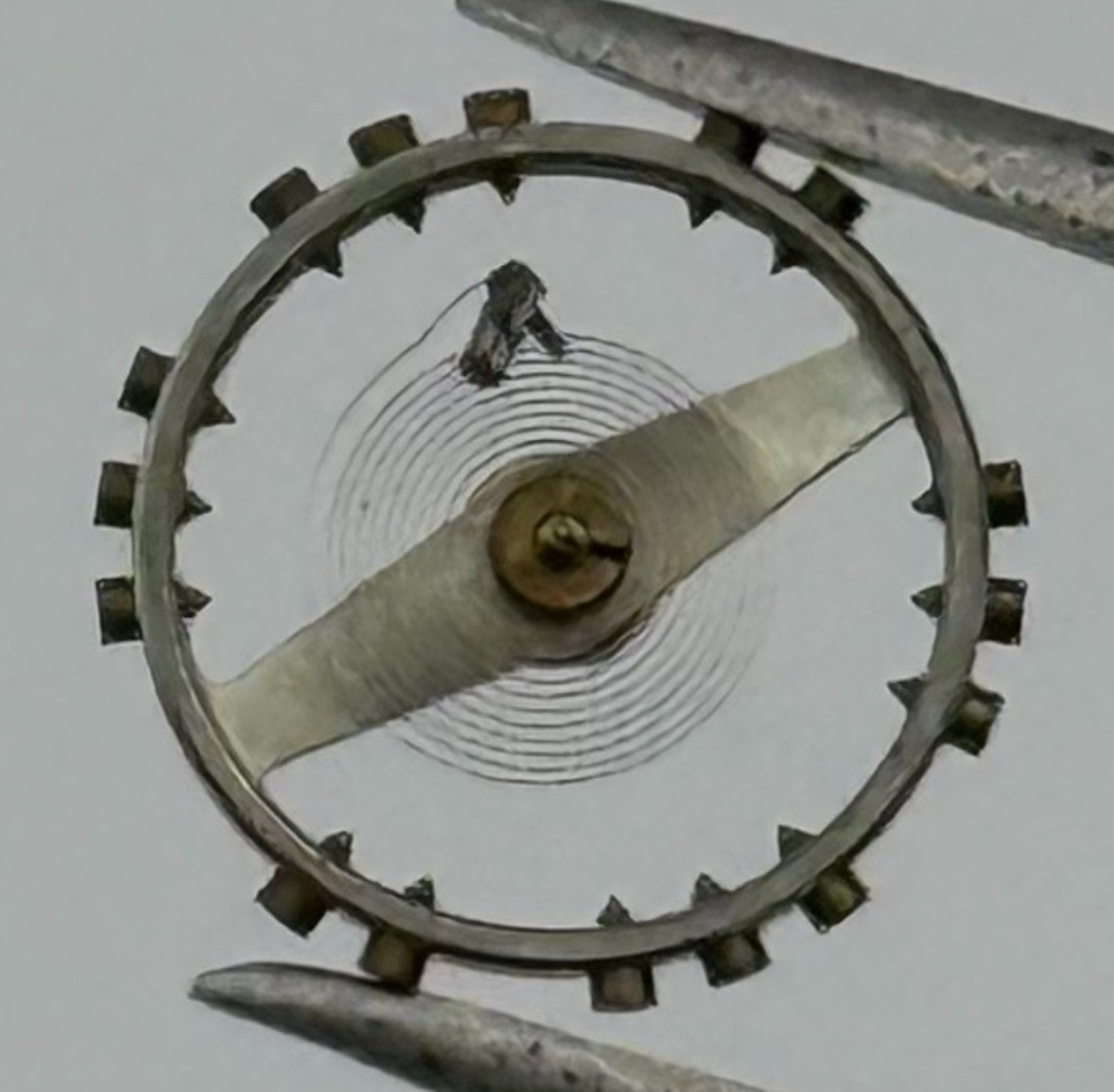 AS 1051 Balance Complete - Watch Parts - NOS - Select From Available Options