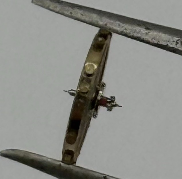 FHF 59-21 Balance Wheel Complete And Spring Renata 1353 Watch Movement Parts NOS