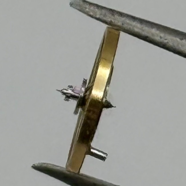GSW 60 66 Balance Wheel Complete And Spring 5½’’’ 1068 Watch Movement Parts NOS