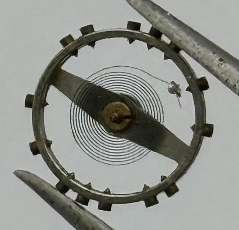 AS 1051 Balance Wheel Complete And Spring Renata 534 M Watch Movement Parts NOS
