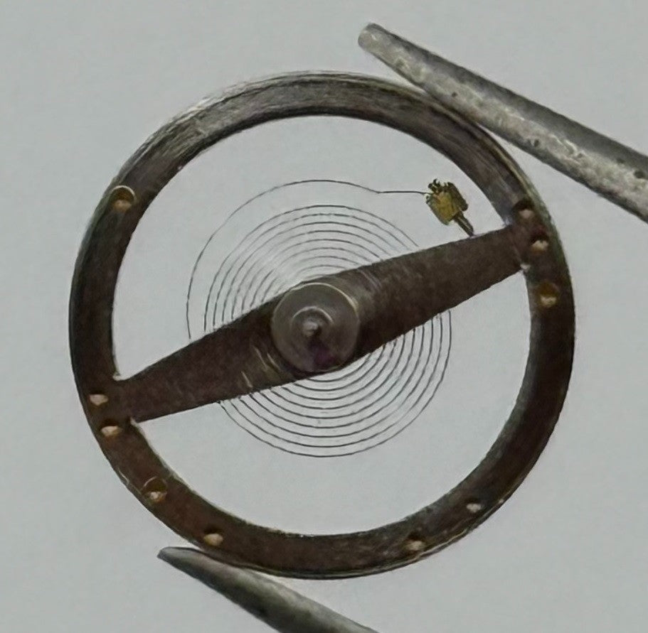 RL Rax 1013 1237 a pl Balance Wheel Complete And Spring 1679 Watch Movement NOS