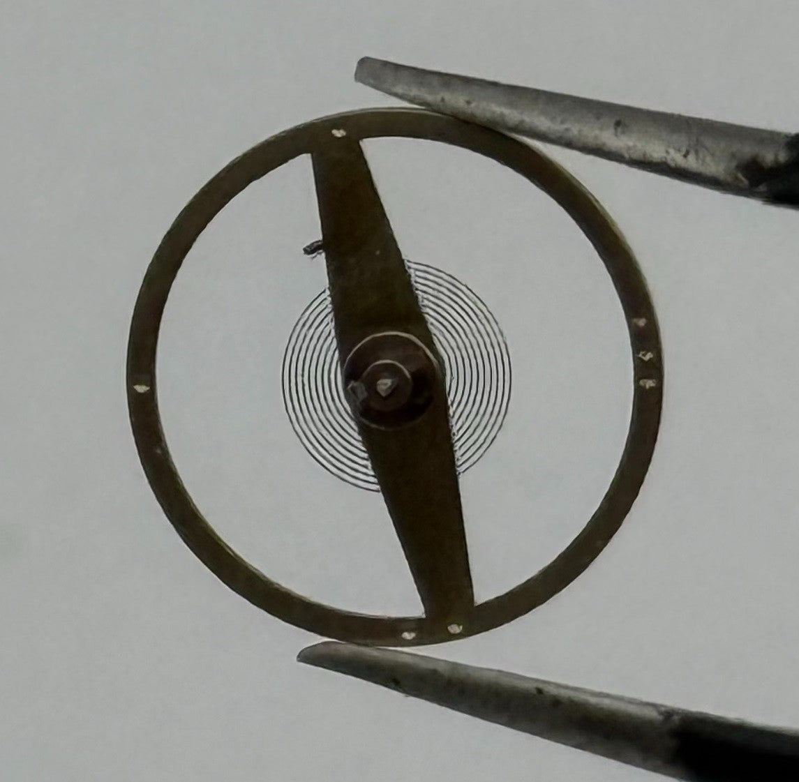Forster 194 Balance Wheel Complete And Spring 1588 Watch Movement Parts NOS