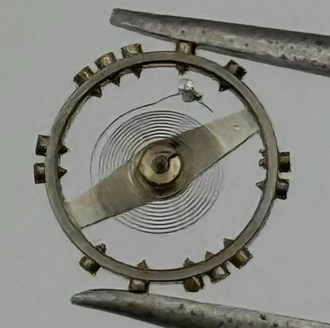 AS 976 1012 Balance Wheel Complete And Spring Renata 29 Watch Movement Parts NOS