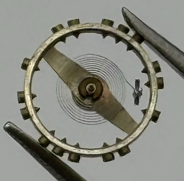 AS 976 1012 Balance Wheel Complete And Spring 29 M Watch Movement Parts NOS