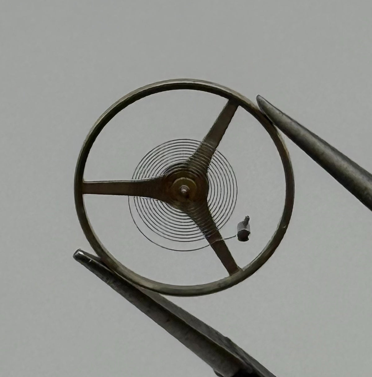 SGT 200 300 3002 E4 Balance Wheel Complete And Spring 1890 Watch Movement Parts