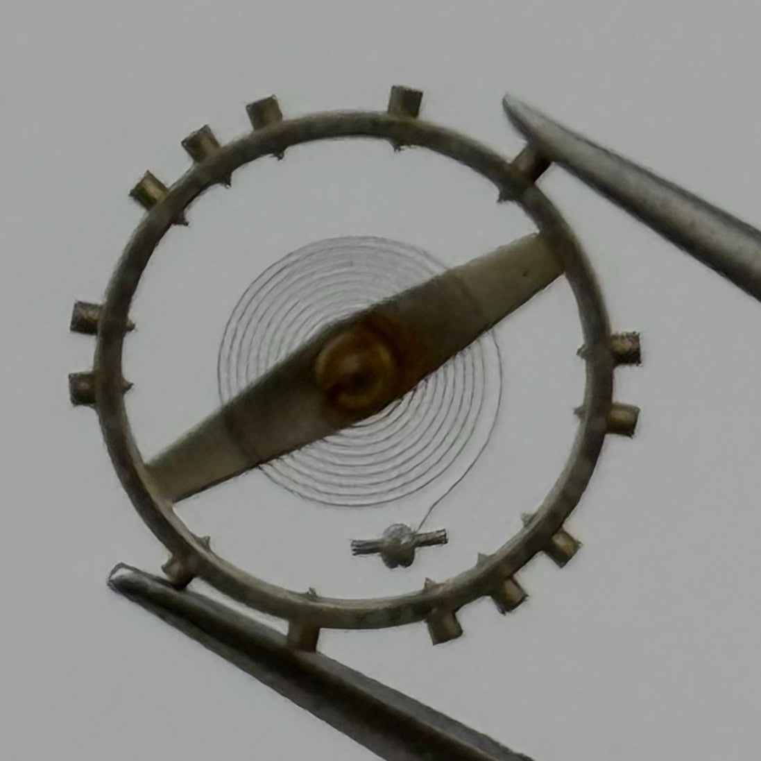 AS 1287 Balance Wheel Complete And Spring 10½’’’ Ronda 280 Watch Movement Parts