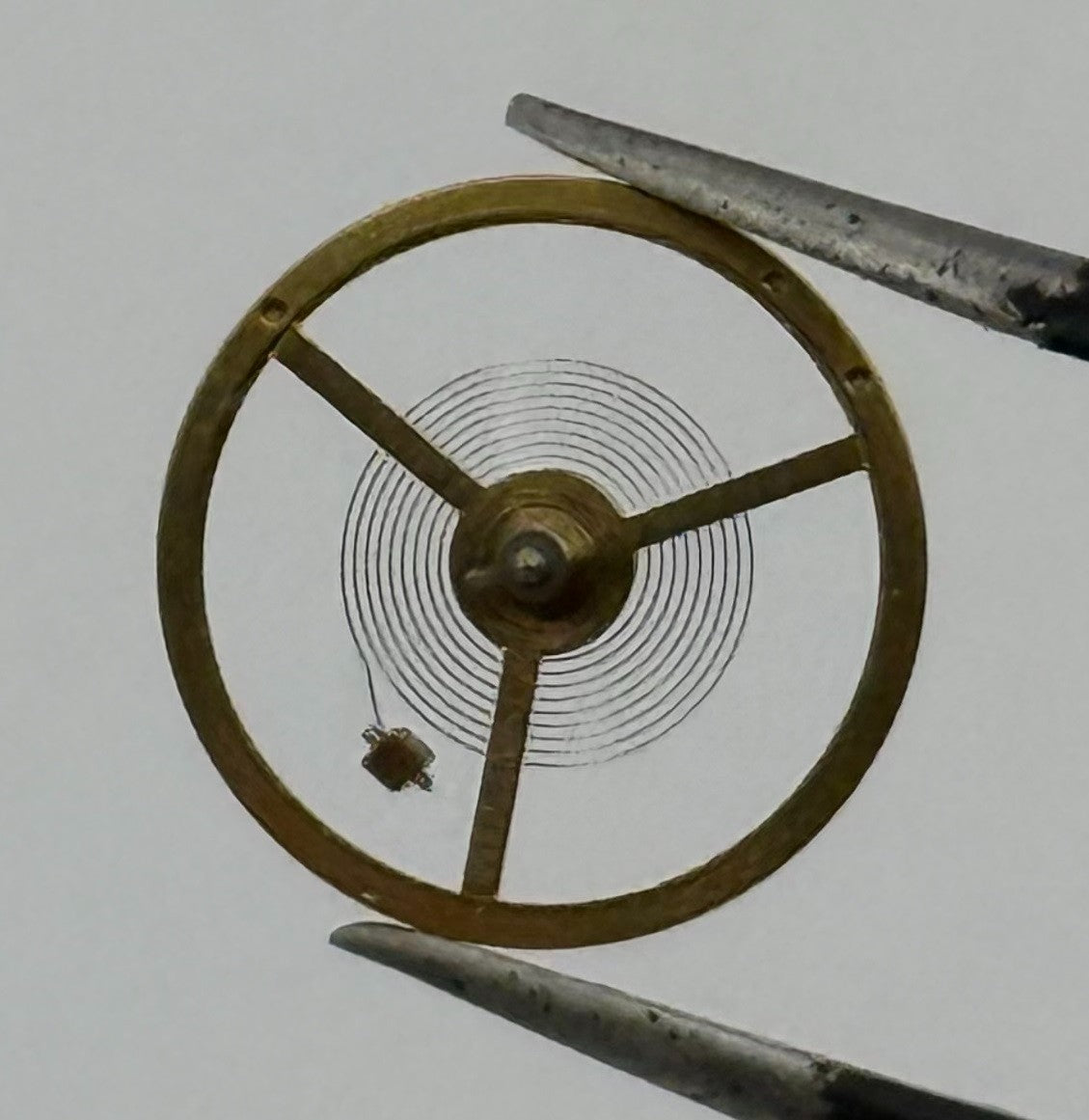 BFG 582/21 Balance Wheel Complete And Spring 13½’’’ 1840 Watch Movement Parts