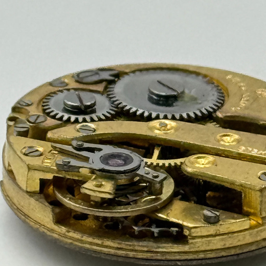 Claridge Watch Movement Shockproof Swiss Cylinder MOP Dial Parts Repair 19.5mm