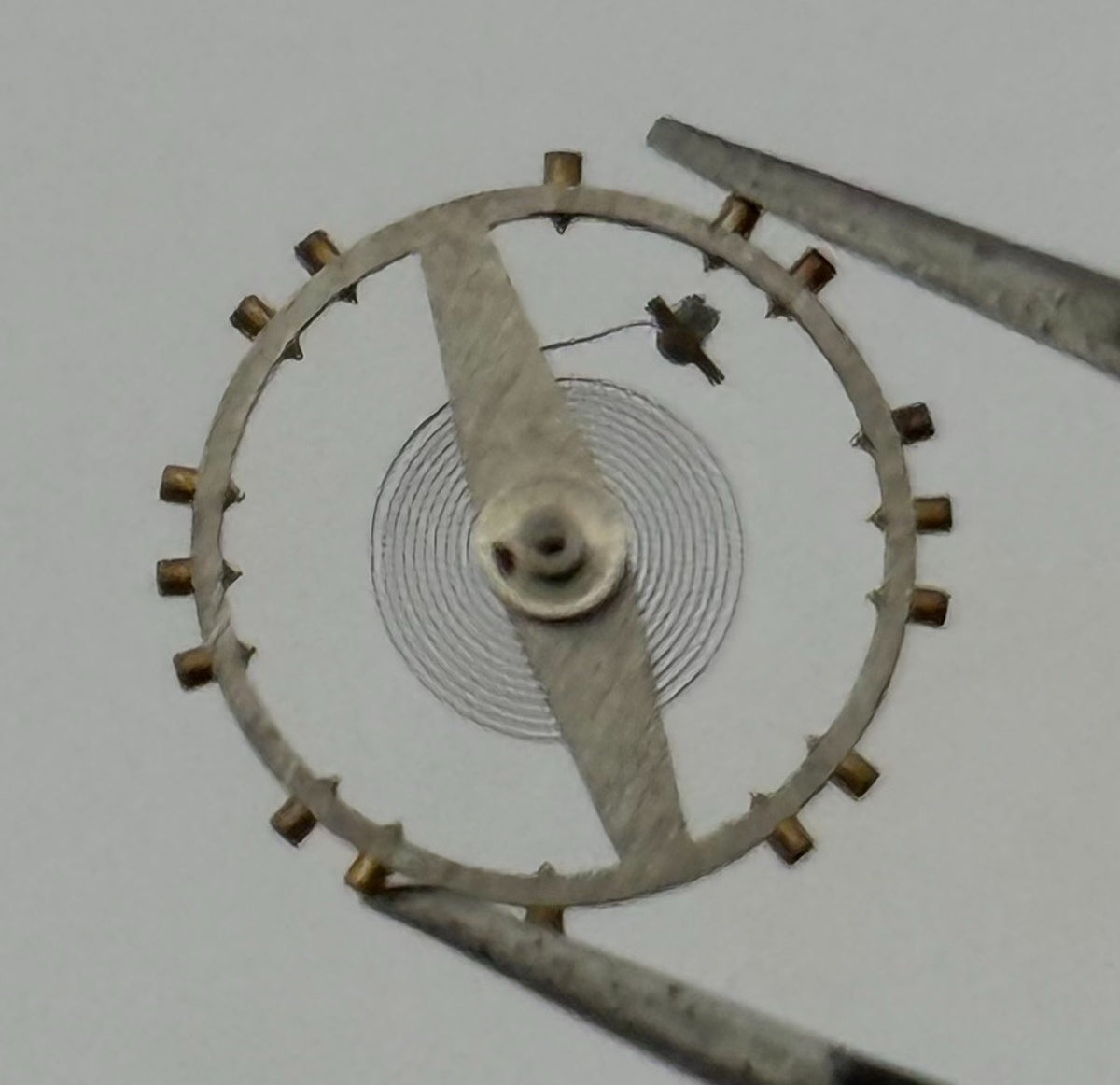 AS 1700-3 Balance Wheel Complete And Spring Renata 1165 Watch Movement Parts NOS