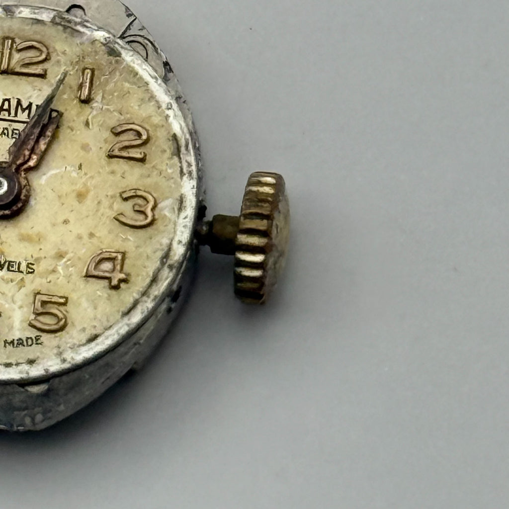 MST 389 Watch Movement Running Roamer 17J Swiss Manual Wind Parts Repair 13.1mm
