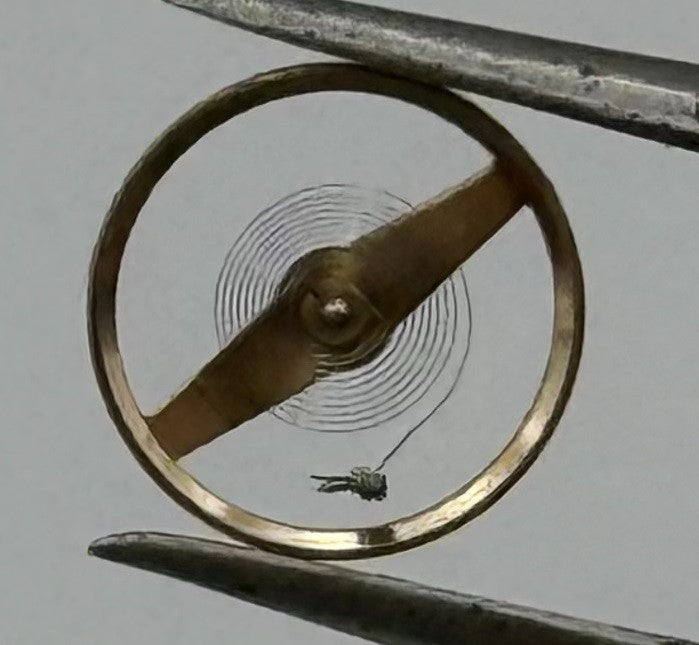AS 976 1012 Balance Wheel Complete And Spring Renata 29 Watch Movement Parts NOS